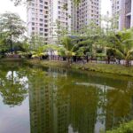 Active-acres-waterbody